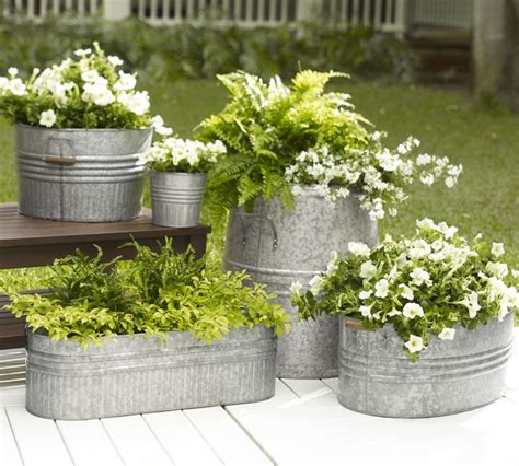 house plants in a metal bucket|steel containers for plants.